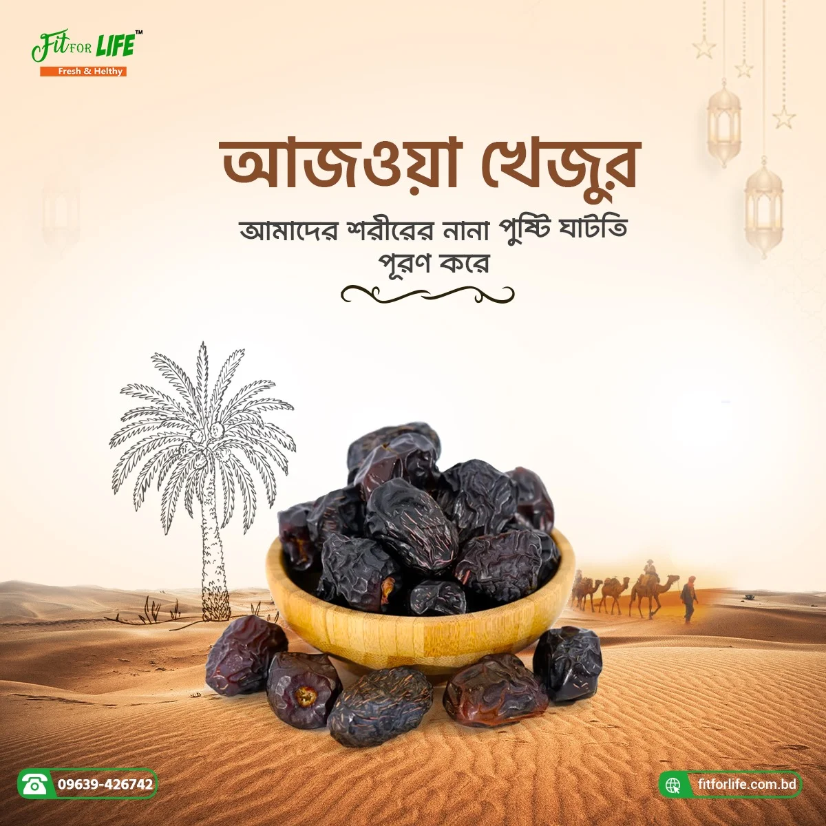 আজওয়া খেজুর (VIP Learge)